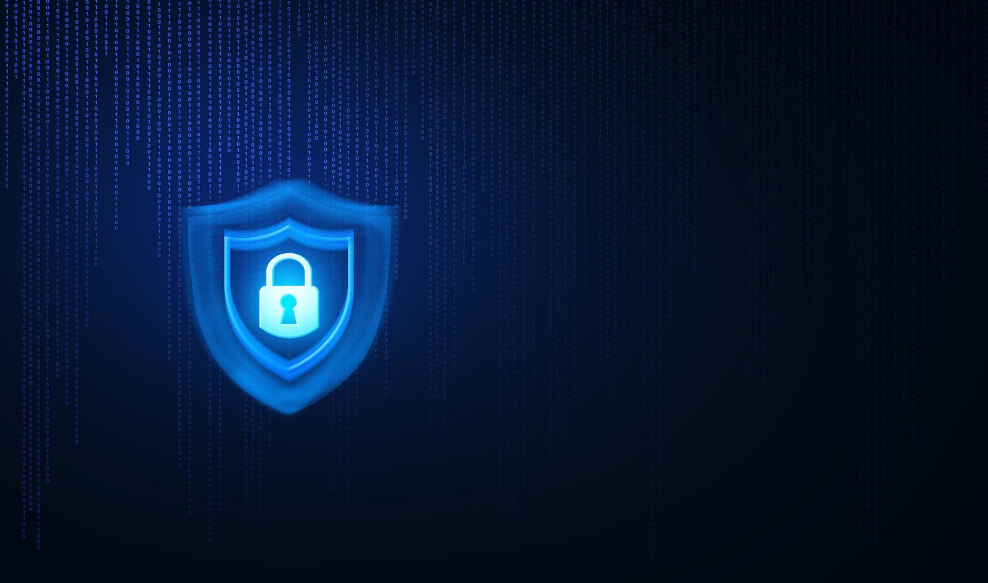 ECサイトにセキュリティ対策が必要な理由とは？概要や導入時のポイントについて解説